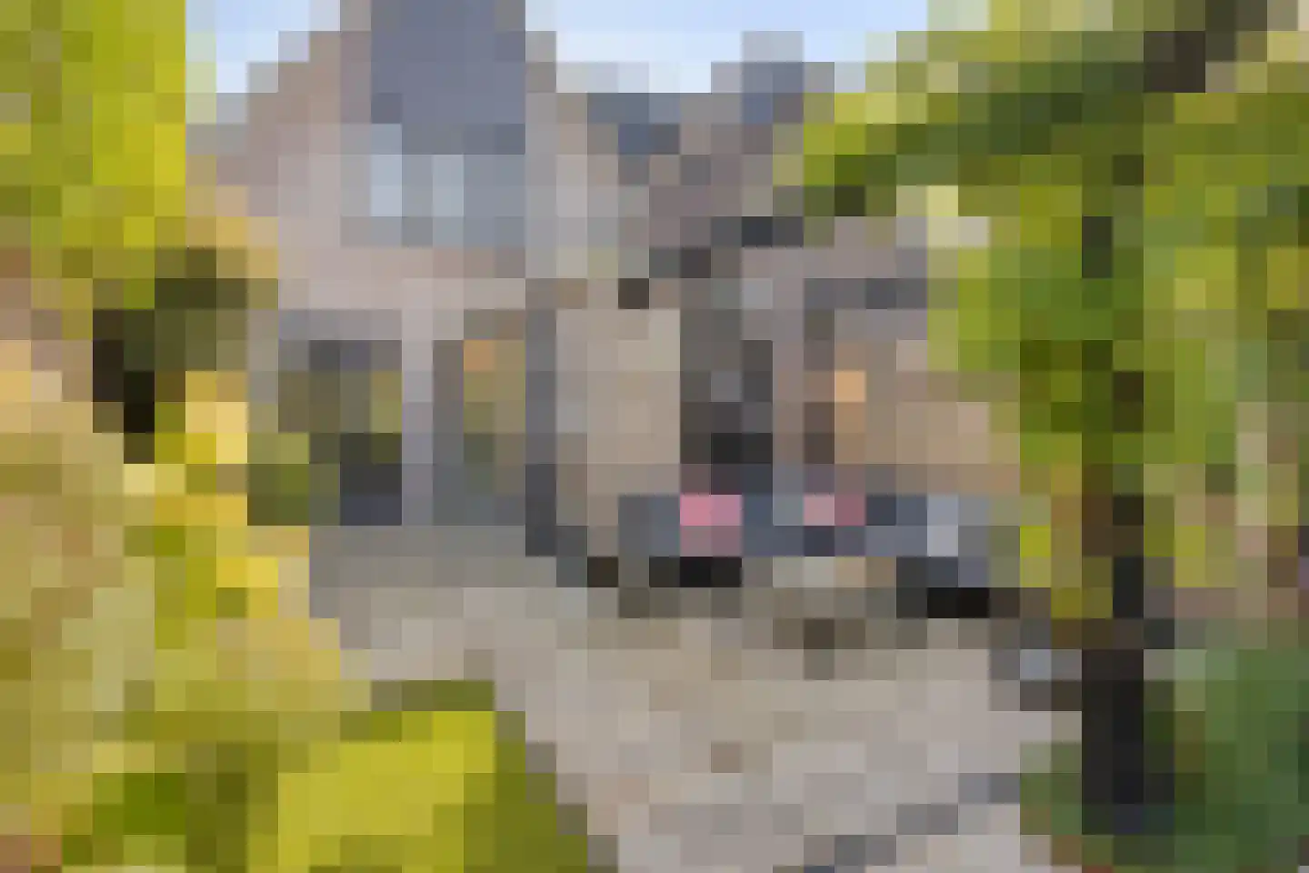 Zuidgouw 72 Ursem thumbnail 33