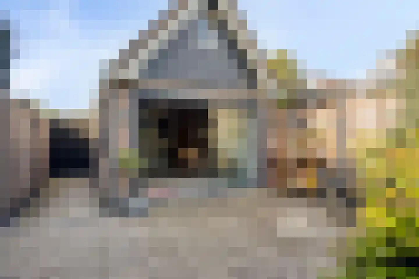 Zuidgouw 72 Ursem thumbnail 34