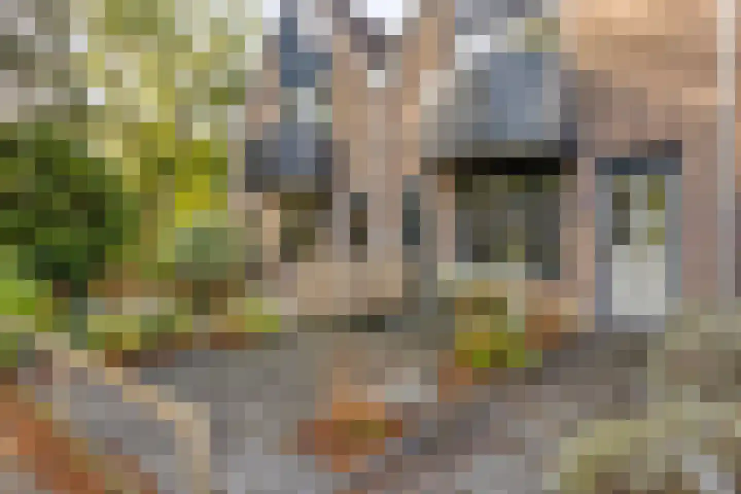 Zuidgouw 72 Ursem thumbnail 7