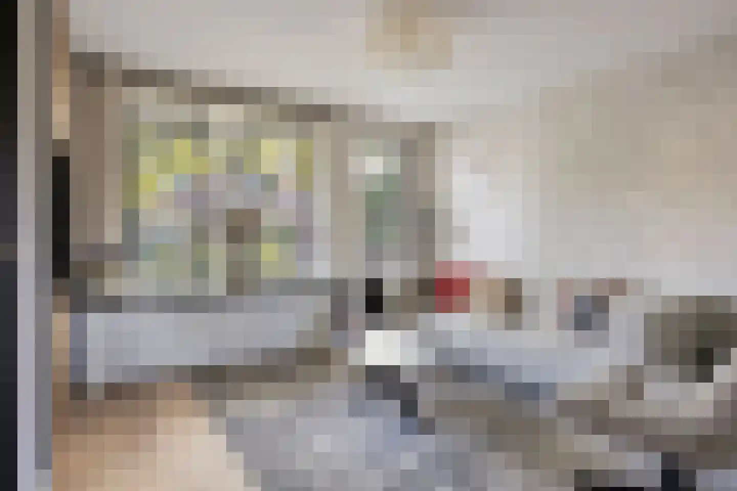 Zuidgouw 72 Ursem thumbnail 9