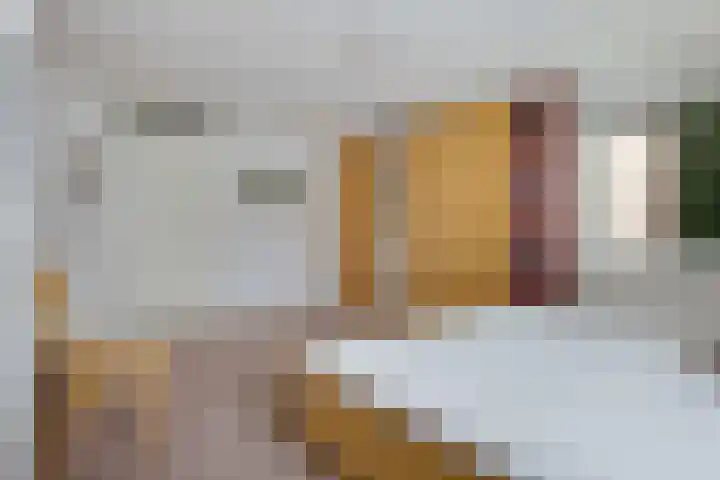 Zuidhaege 11 Assen thumbnail 14