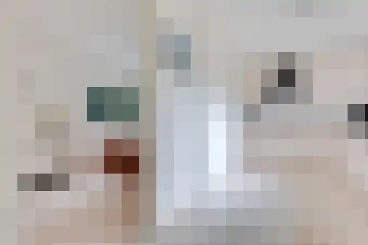 Zuidhaege 11 Assen thumbnail 32
