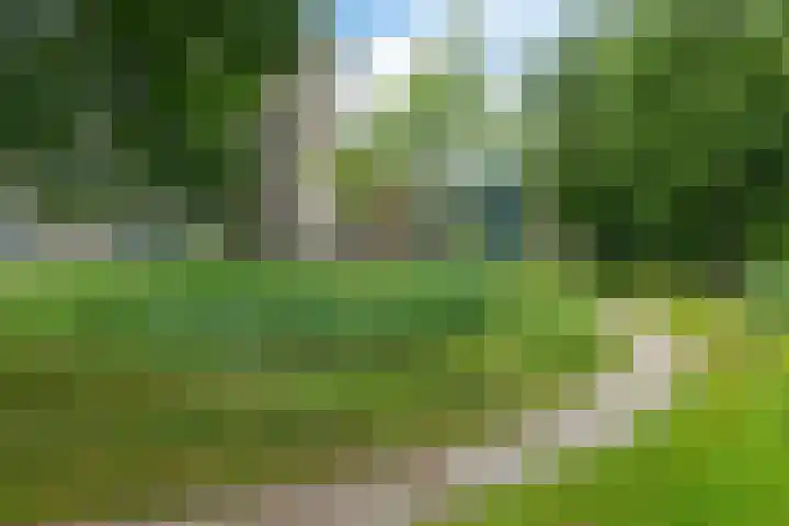 Zuidhaege 11 Assen thumbnail 43