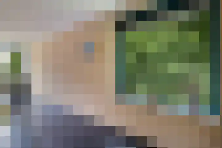 Zuidhaege 11 Assen thumbnail 8