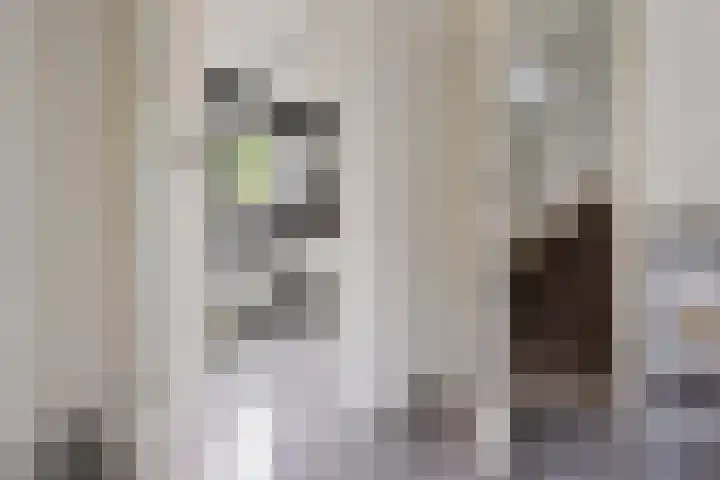 Zuidhaege 163 Assen thumbnail 17