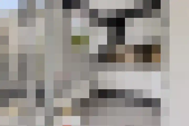 Zuidhaege 163 Assen thumbnail 19