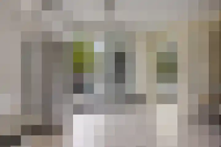 Zuidhaege 163 Assen thumbnail 23