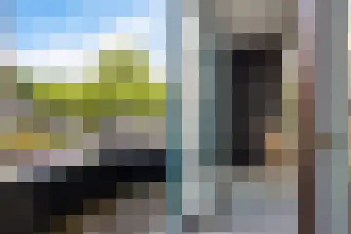Zuidhaege 163 Assen thumbnail 24