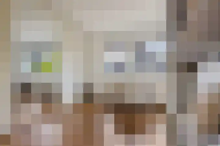 Zuidhaege 163 Assen thumbnail 39