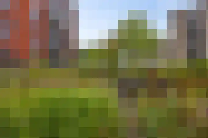 Zuidhaege 163 Assen thumbnail 45