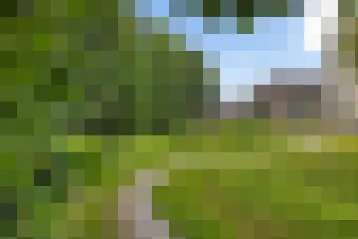 Zuidhaege 163 Assen thumbnail 46