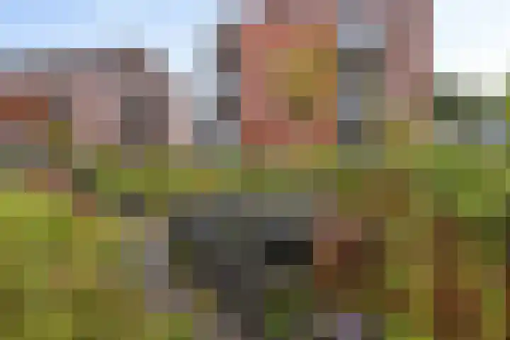Zuidhaege 163 Assen thumbnail 5