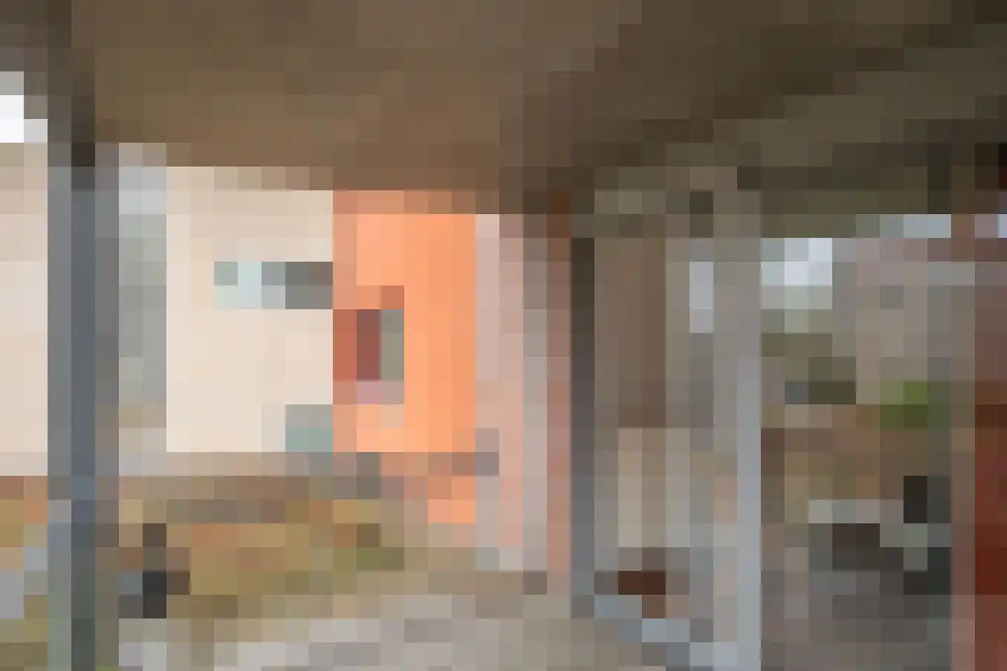 Zuidhaege 4 Assen thumbnail 26
