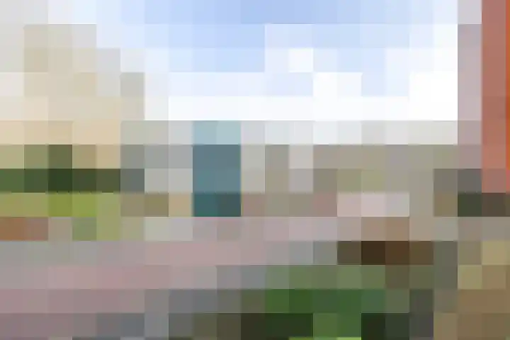 Zuidhaege 6 Assen thumbnail 39