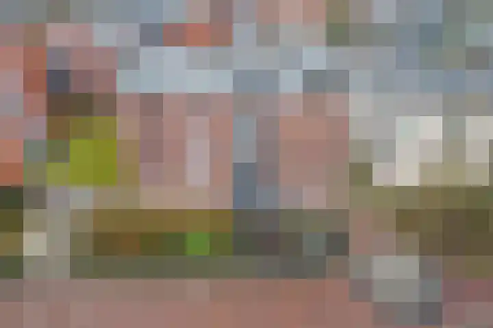 Zuidhaege 6 Assen thumbnail 4