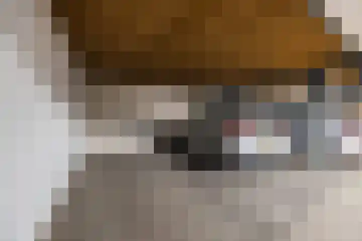 Zuidhaege 6 Assen thumbnail 42
