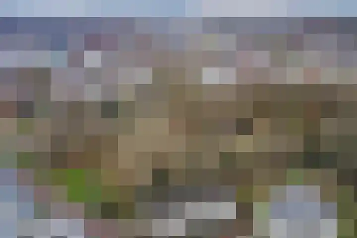 Zuidhaege 6 Assen thumbnail 46