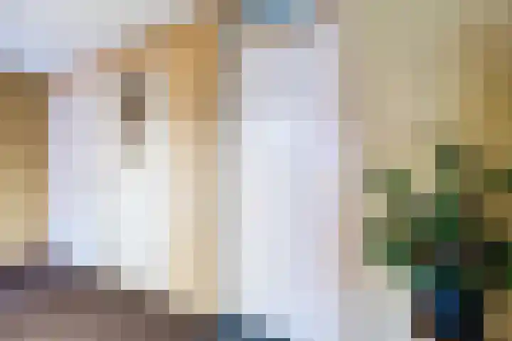 Zuidhaege 6 Assen thumbnail 9