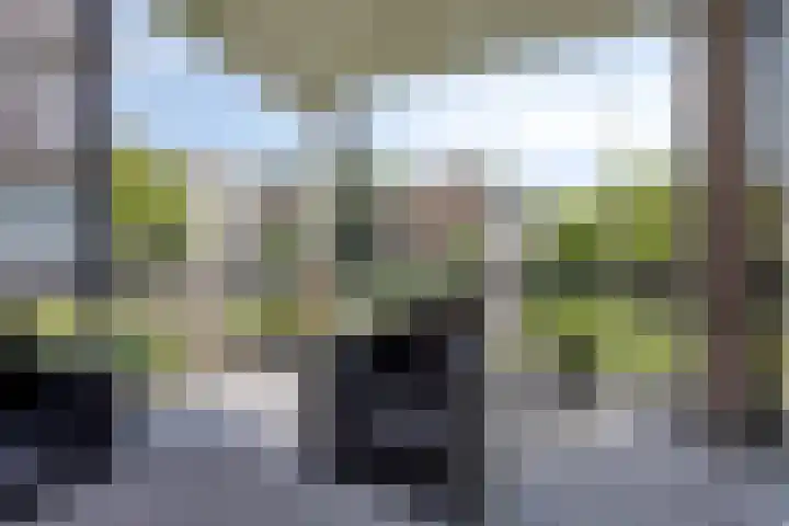 Zuidhaege 68 Assen thumbnail 22