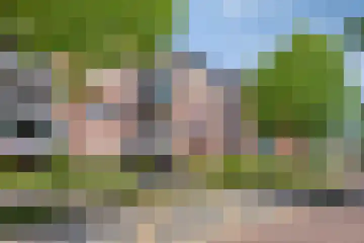 Zuidhaege 68 Assen thumbnail 4