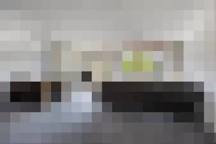 Zuidhaege 68 Assen thumbnail 5