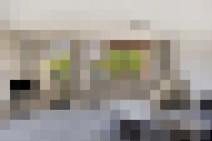 Zuidhaege 68 Assen thumbnail 6