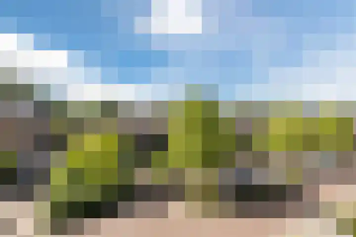 Zuidhaege 80 Assen thumbnail 36