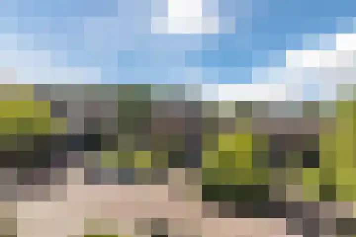 Zuidhaege 80 Assen thumbnail 37