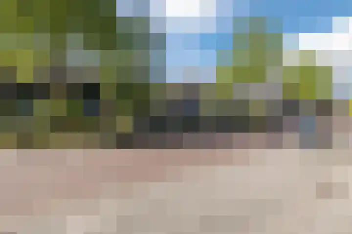 Zuidhaege 80 Assen thumbnail 38