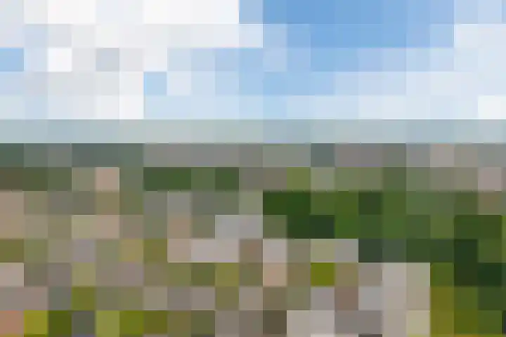 Zuidhaege 80 Assen thumbnail 47