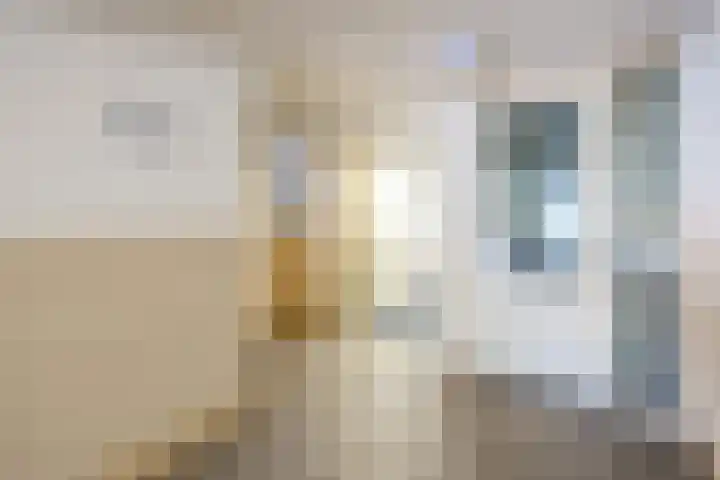 Zuidhaege 80 Assen thumbnail 8