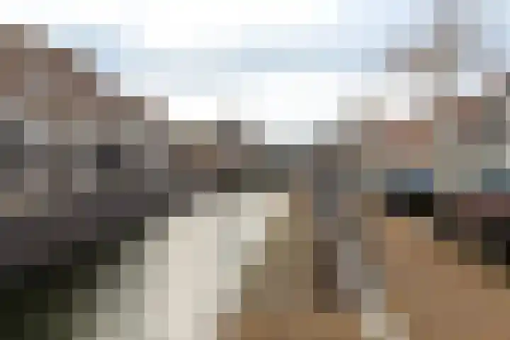 Zuidhaven 111 Zevenbergen thumbnail 5