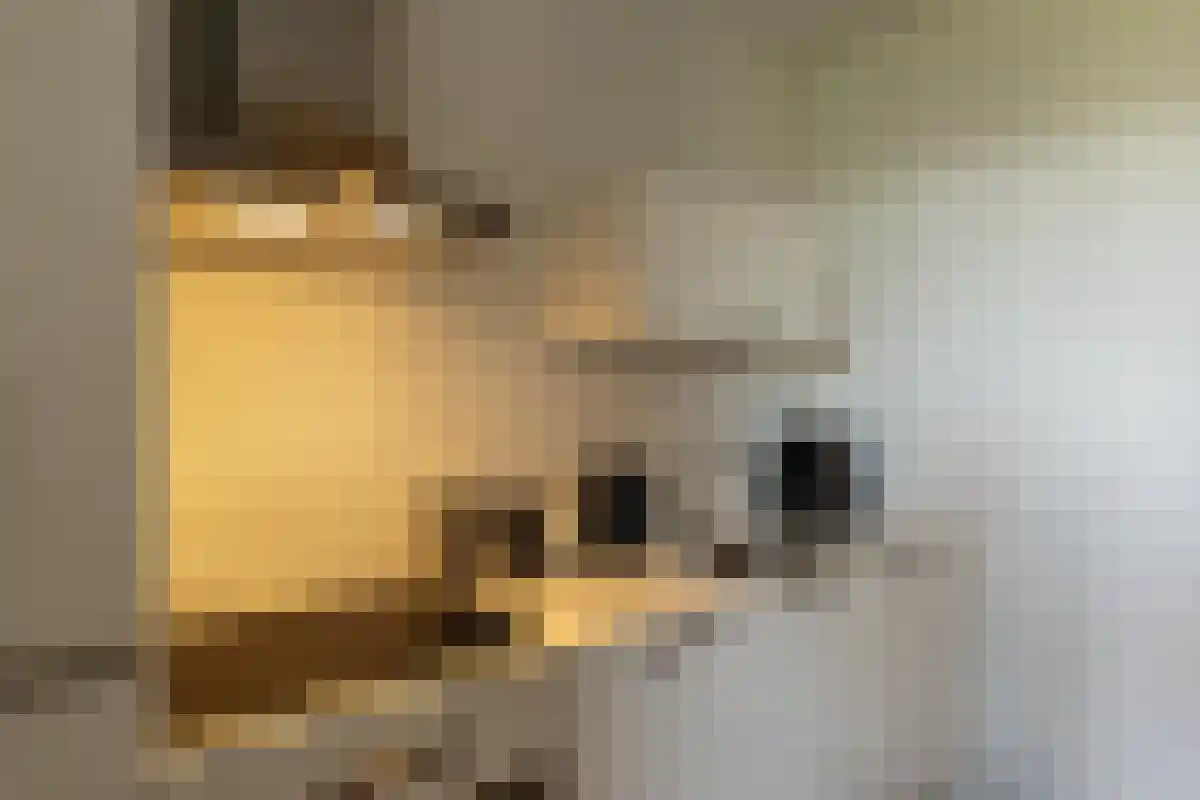 Zuidhoek 11 Rotterdam thumbnail 6