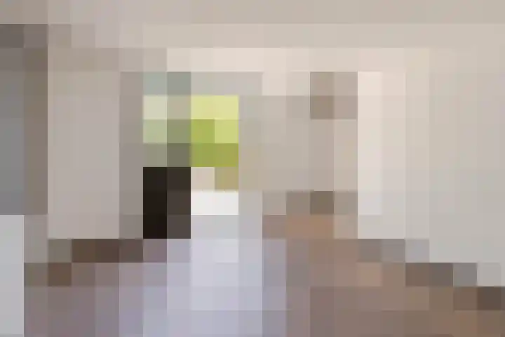 Zuidhoek 112 Rotterdam thumbnail 22