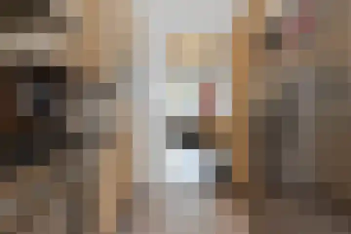 Zuidhoek 115 Rotterdam thumbnail 13