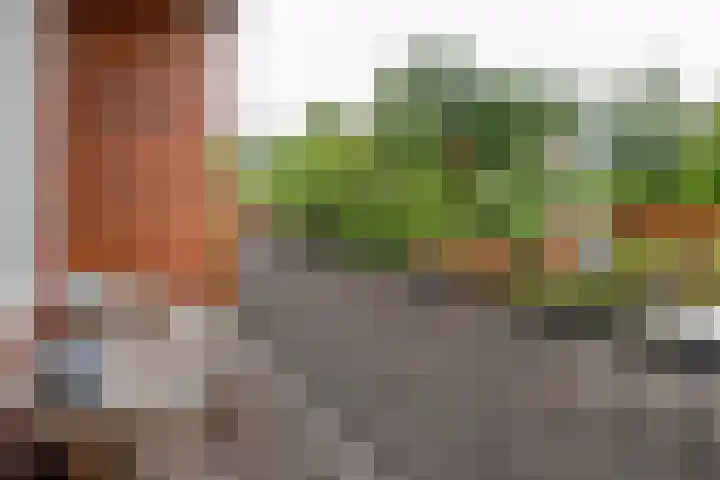 Zuidhoek 115 Rotterdam thumbnail 17