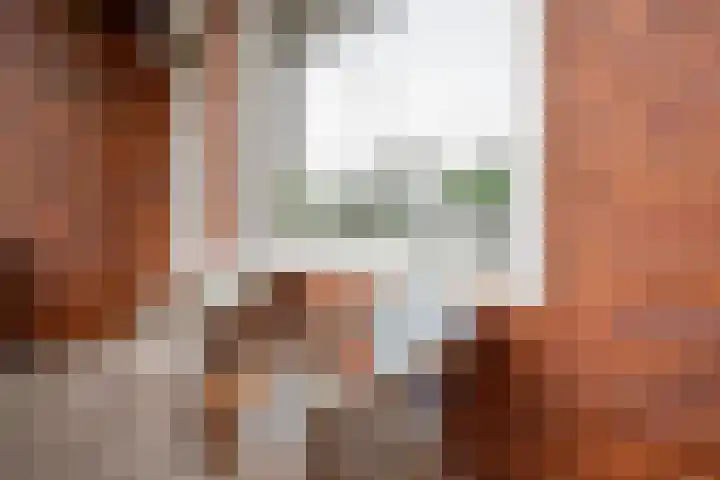 Zuidhoek 115 Rotterdam thumbnail 18