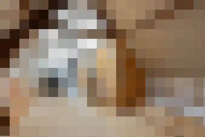 Zuidhoek 115 Rotterdam thumbnail 31