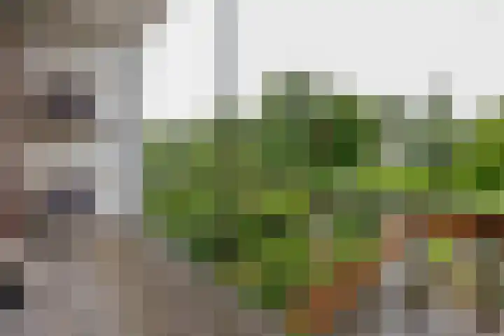 Zuidhoek 115 Rotterdam thumbnail 33