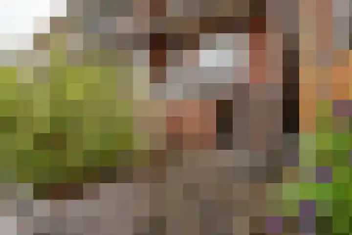 Zuidhoek 115 Rotterdam thumbnail 35