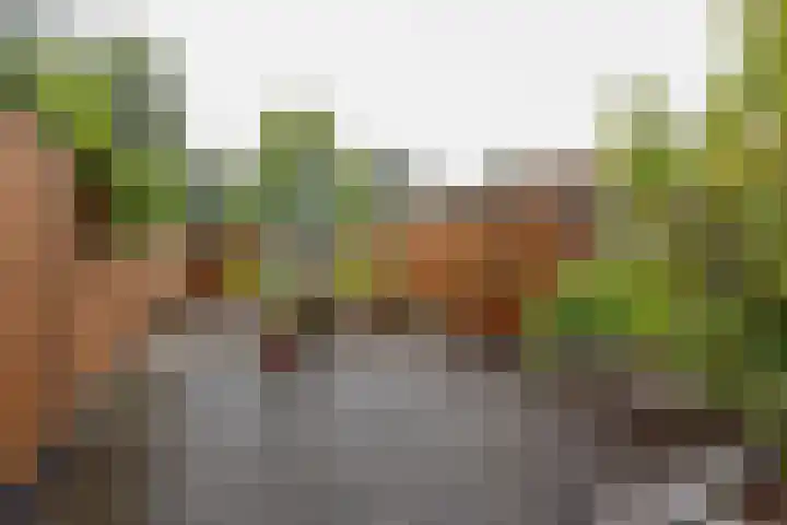 Zuidhoek 115 Rotterdam thumbnail 37