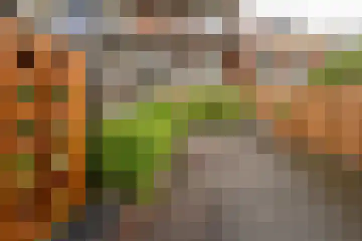 Zuidhoek 115 Rotterdam thumbnail 38
