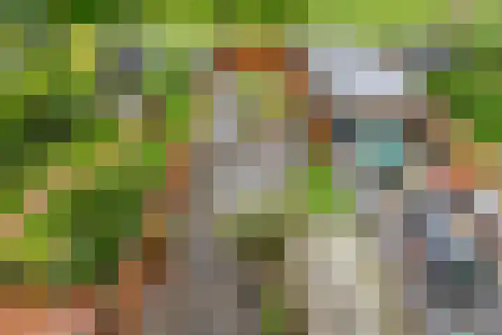Zuidhoek 115 Rotterdam thumbnail 39