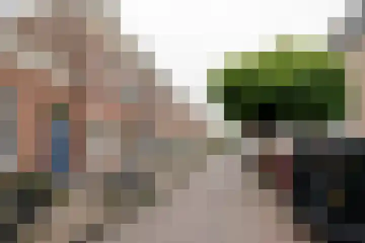 Zuidhoek 115 Rotterdam thumbnail 40