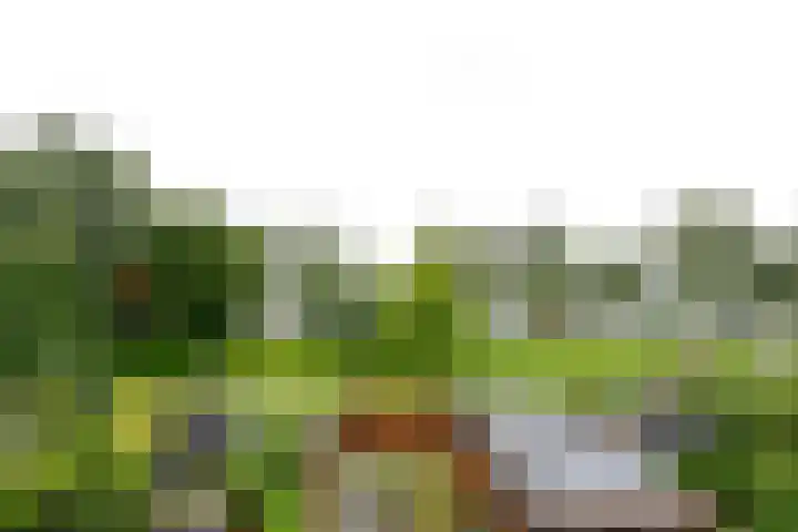 Zuidhoek 115 Rotterdam thumbnail 5