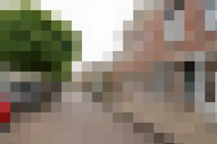 Zuidhoek 115 Rotterdam thumbnail 6