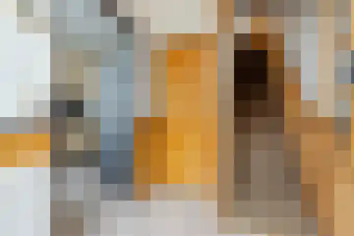 Zuidhoek 115 Rotterdam thumbnail 8