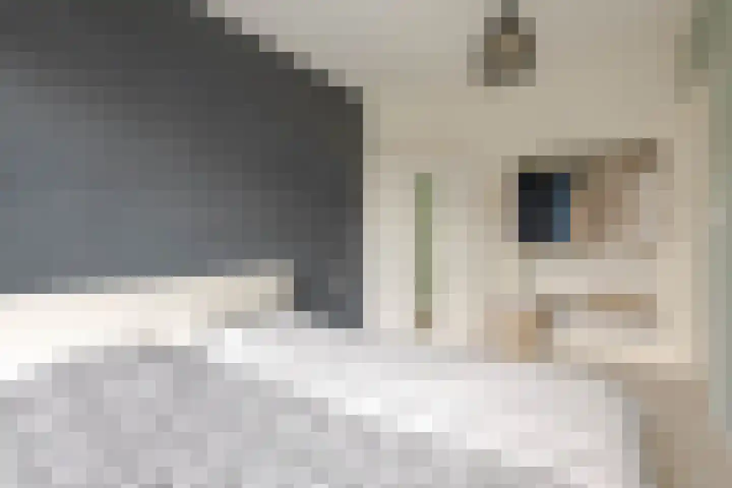 Zuidhoek 118 B Rotterdam thumbnail 13