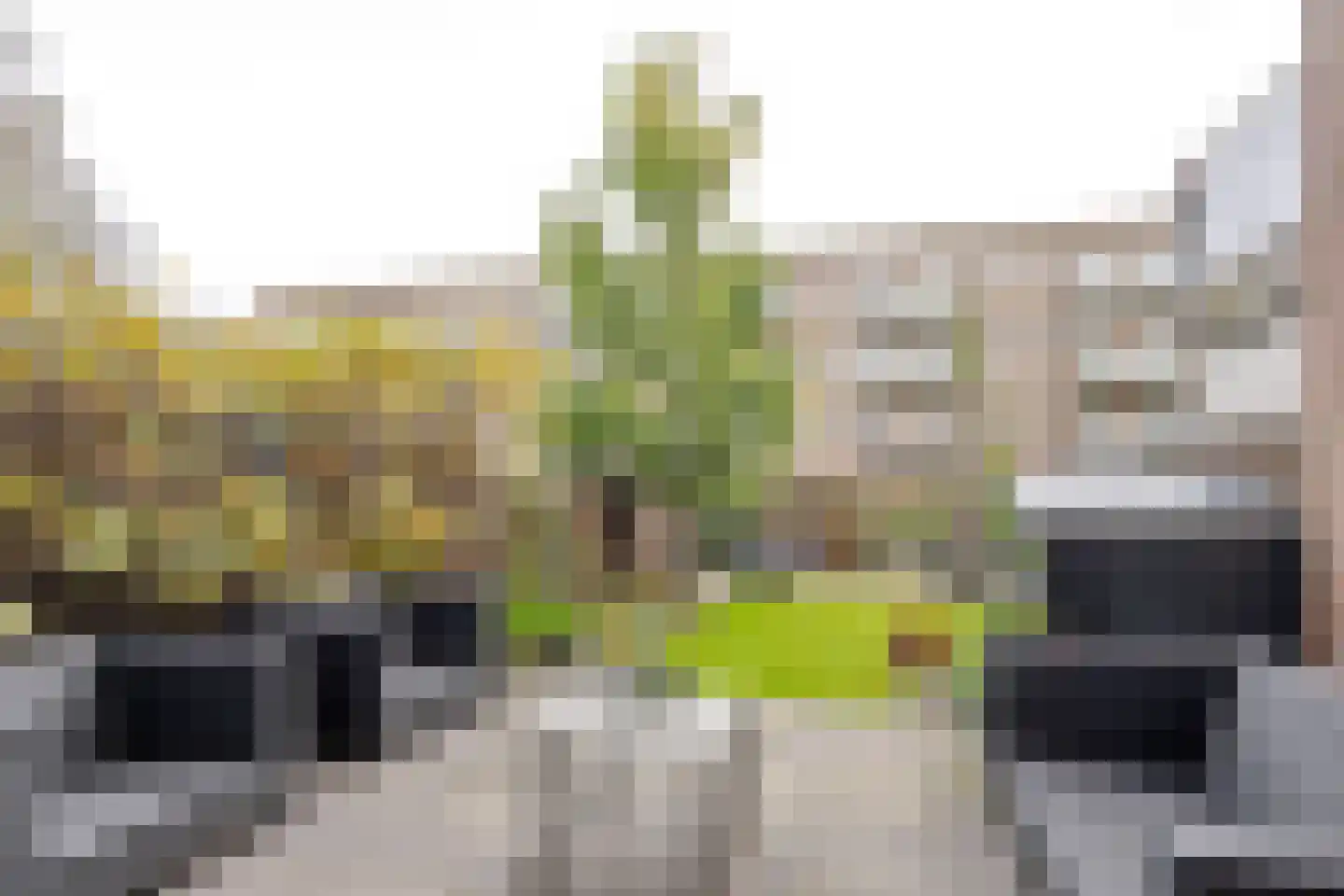 Zuidhoek 118 B Rotterdam thumbnail 25
