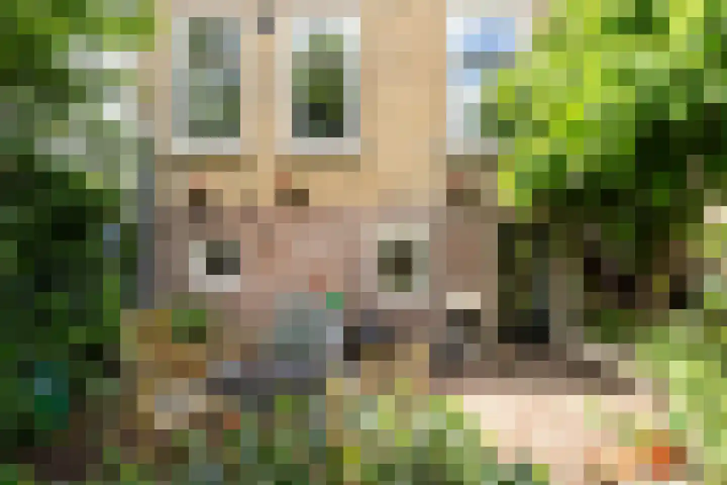 Zuidhoek 154 Rotterdam thumbnail 24